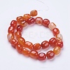 Natural Striped Agate/Banded Agate Beads Strands G-I198C-B-04-2
