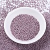 MIYUKI Delica Beads Small SEED-X0054-DBS0379-2