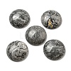 Natural Map Stone Cabochons G-C115-02A-20-1