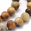 Natural Crazy Lace Agate Beads Strands G-G763-10-8mm-3