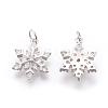 Brass Micro Pave Cubic Zirconia Pendants X-KK-F774-10P-NR-2