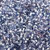 Glass Seed Beads X-SEED-S042-04B-22-3