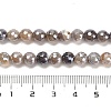 Electroplated Natural Botswana Agate Round Beads Strands G-L598-A03-01-5