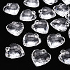 Transparent Acrylic Pendants TACR-T024-03B-205-1