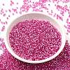 Glass Seed Beads X-SEED-S042-04B-19-2