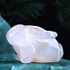 Natural Grey Agate Home Display Decorations DJEW-PW0006-06E-1