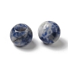 Natural Blue Spot Jasper European Beads G-N342-03D-2