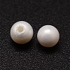 Shell Pearl Beads X-BSHE-L031-01-4mm-2