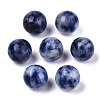 Natural Blue Spot Jasper Beads G-R483-08-8mm-2