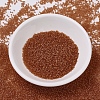 MIYUKI Delica Beads SEED-X0054-DB0777-2