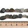 Natural Labradorite Beads Strands G-Q060-E20-02-5
