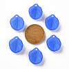 Transparent Frosted Acrylic Pendants MACR-S371-02A-751-3