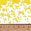 Baking Paint Glass Seed Beads SEED-S042-05B-81-4