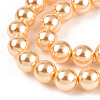 Glass Pearl Beads Strands HY-G002-01D-10-2