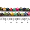 Dyed Natural Regalite/Imperial Jasper/Sea Sediment Jasper Beads Strands G-B124-C02-11-3