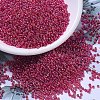 MIYUKI Round Rocailles Beads SEED-X0054-RR1010-1