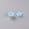 Transparent Acrylic Beads X-PL554-12-2