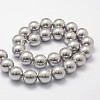 Shell Pearl Beads Strands X-BSHE-L026-05-10mm-2