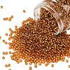 TOHO 8/0 Round Beads SEED-TR08-0022C-1