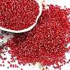 Baking Paint Silver Lined Glass Seed Beads SEED-H003-09C-1