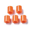 PE Fuse Beads DIY-R013-77-3