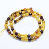 Natural Amber Beads Strands G-P336-16-6mm-2