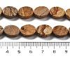 Natural Picture Jasper Beads Strands G-P559-B15-01-5