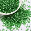 Cylinder Seed Beads SEED-H001-G05-1