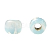 TOHO Round Seed Beads SEED-TR11-PF2118-4