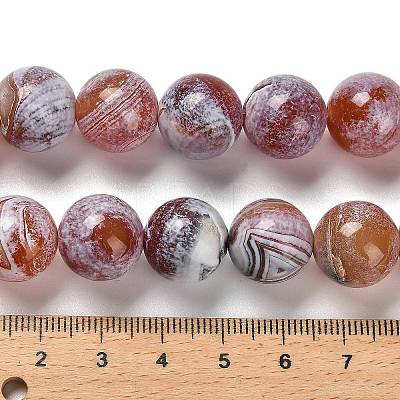 Dyed Natural Carnelian Beads Strands G-G175-A12-01-1