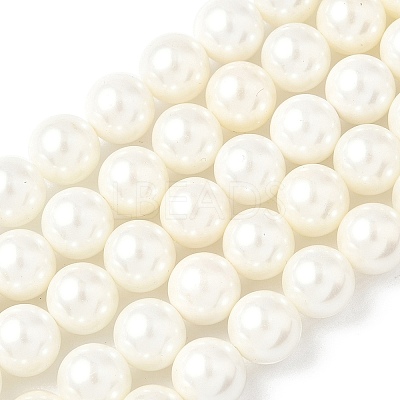 Shell Pearl Beads Strands BSHE-K015-10mm-03-1