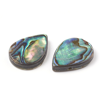 Abalone Shell/Paua Shell Beads SHEL-T005-02-1