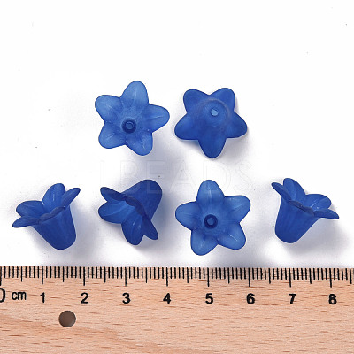 Transparent Acrylic Beads PLF018-10-1