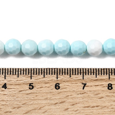 Natural Magnesite Beads Strands G-P598-E-6mm-01-1