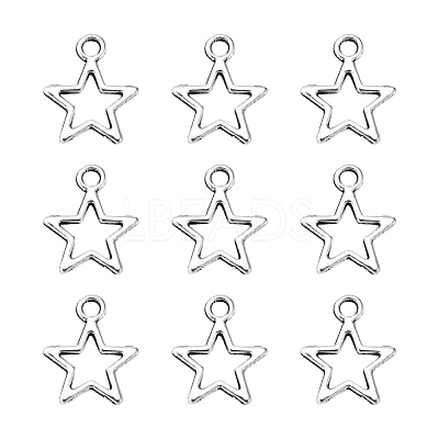 Tibetan Style Alloy Charms LF10651Y-NF-1