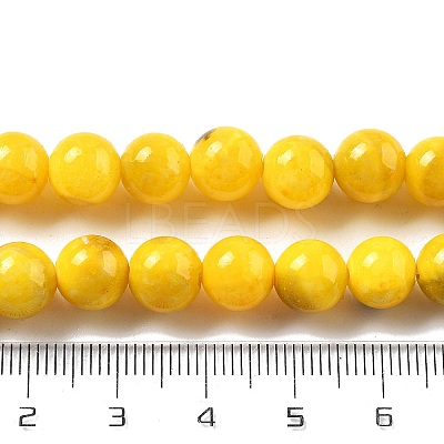 Natural Persian Jade Beads Strands G-A255-A02-02I-1