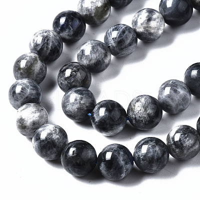 Natural Labradorite Beads Strands G-N328-49D-01-1