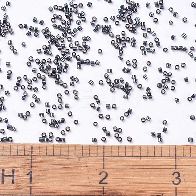 MIYUKI Delica Beads SEED-X0054-DB0606-1