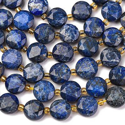 Natural Lapis Lazuli Beads Strands G-C116-A110-01-1