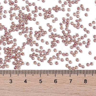 TOHO 11/0 Round Beads X-SEED-TR11-0960-1