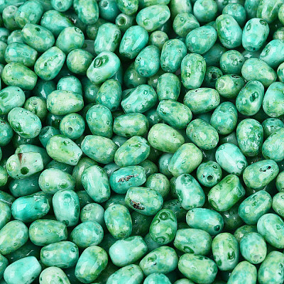 Picasso Glass Seed Beads SEED-N012-10G-1