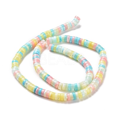 Natural Trochid Shell Beads Strands SSHEL-G023-02B-01-1