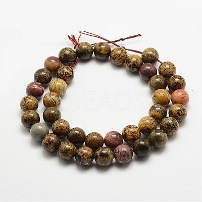 Natural Dendritic Jasper Beads Strands G-E382-07-6mm-1