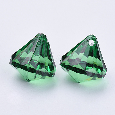 Transparent Acrylic Pendants TACR-Q260-D-V17-1
