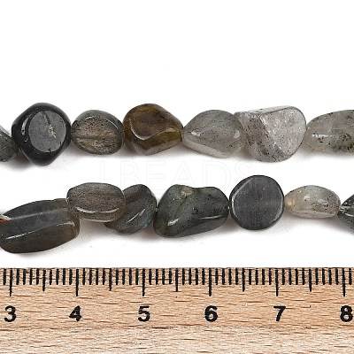 Natural Labradorite Beads Strands G-Q060-E20-02-1