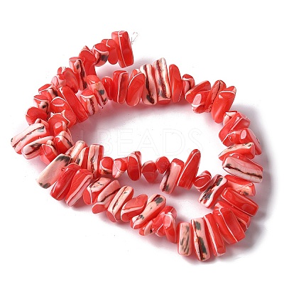 Dyed Natural Trochus Shell Beads Strands SSHEL-C013-09D-1