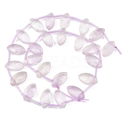 Natural Amethyst Beads Strands G-P607-A05-01-1