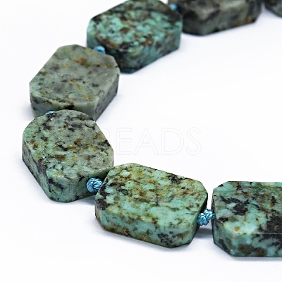 Natural African Turquoise(Jasper) Beads Strands G-F725-01-1