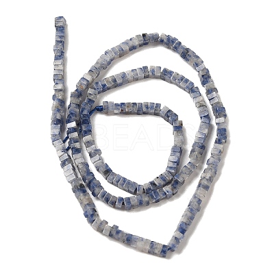 Natural Blue Spot Jasper Beads Strands G-N342-82-1