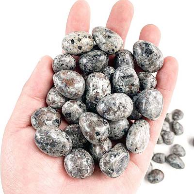 Natural Syenite Healing Stones PW-WGD7FF2-23-1